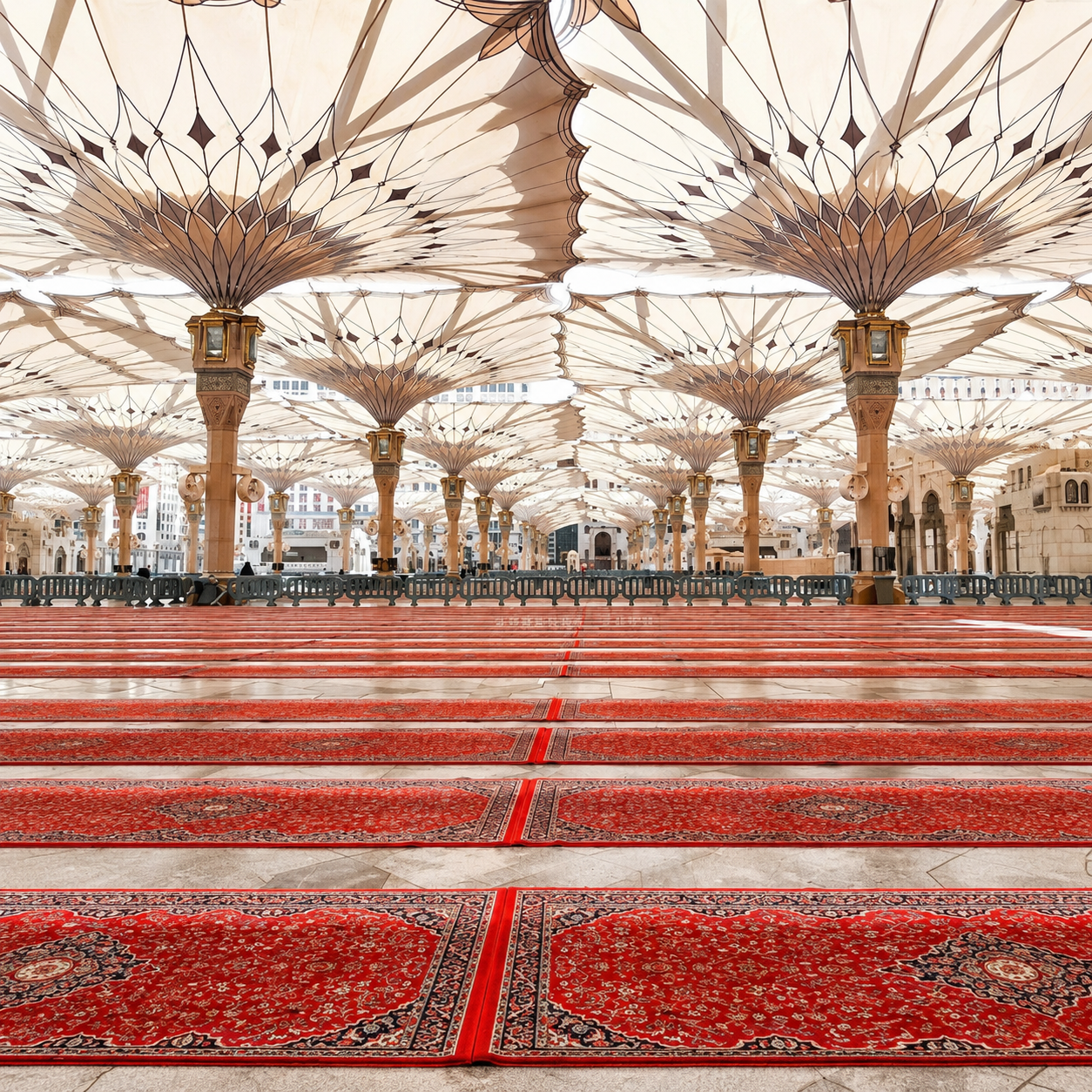 Madina Made