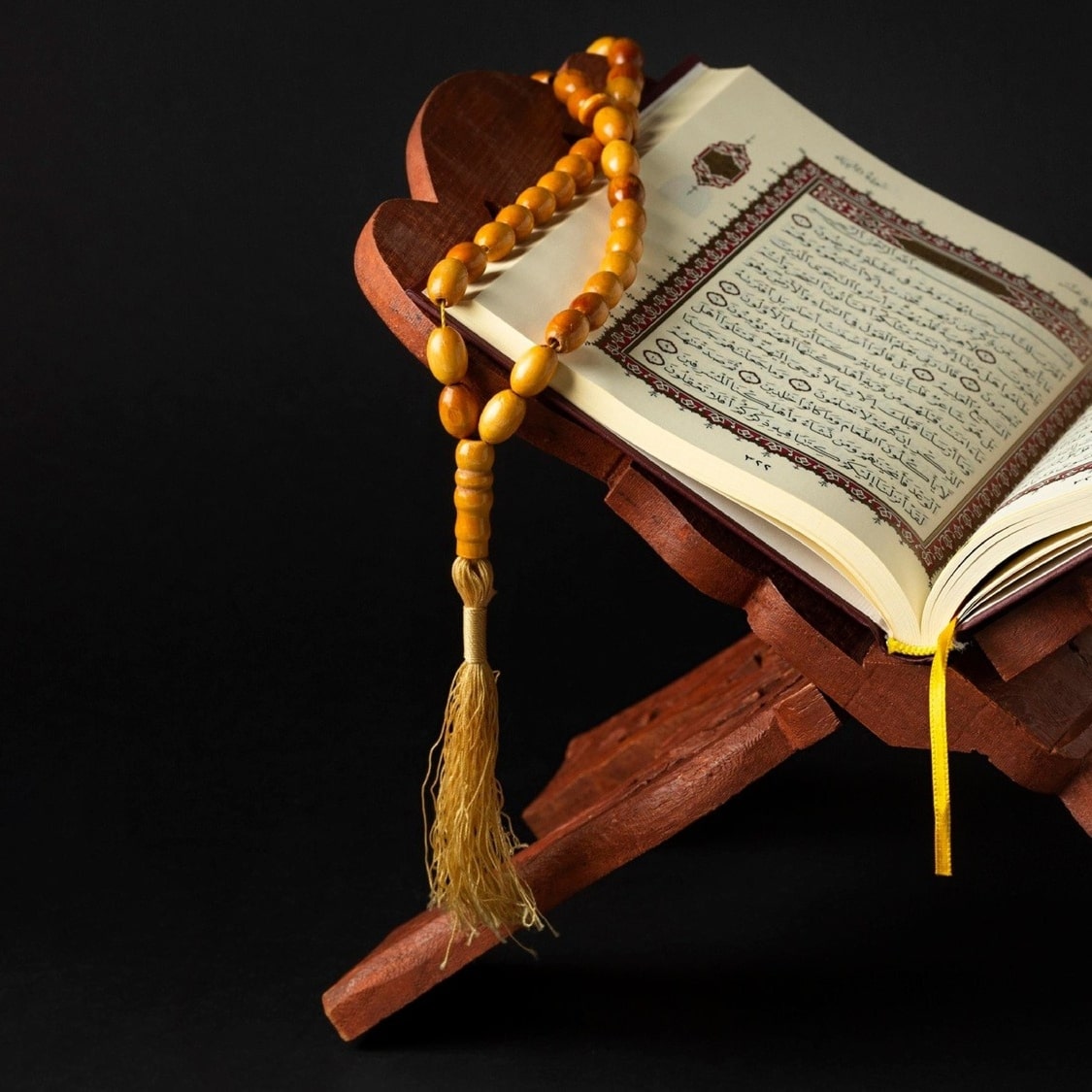 Musallah South Africa - Official Online Store – Musallah.co.za
